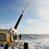 Apex Charters