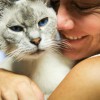 The Animal Hospital Of North Charleston