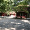 Wye River Kennel