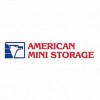 American Mini Storage
