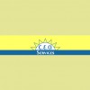 CEO Services