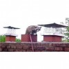 Go Pro Wildlife Removal