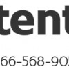Intente