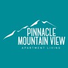 Pinnacle Mountain View