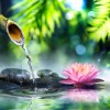 Journey Yoga & Wellness