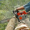Giffin's Tree Service