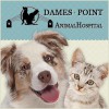 Dames Point Animal Hospital