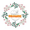 Shades Of Orange