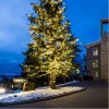 Timberline Condominium Association
