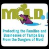 TampaBayMold.net