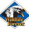 Wildlife Forever