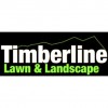 Timberline Lawn & Landscape