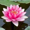Paradise Thai Spa & Massage