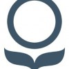 Naturepedic Organic Mattress Gallery