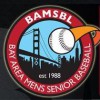 Bay Area Mens Senior Baseball League