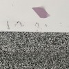 Floorguard Products