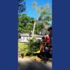 3-G Trees