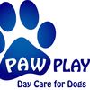 Paw Play