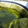 Pool-X-Perts