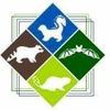 Chase Wildlife