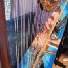 Artz For The Harp