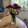 Tolen's Florist