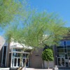 Christ Greenfield School