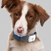 Mulligan Stew Pet Food
