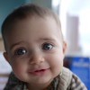 Ayla Yavin Acupuncture & Herbs