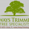Always Trimming Tree Specialists