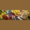 Lewis Lawn Care