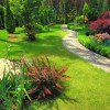 Not Too Shabby Lawn Care