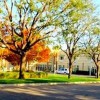 Venable's Tree Service