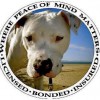 Coastal K9 Dog Walking & Pet Services