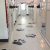 Vacation Station Pet Resort