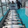 Alaska Saltwater Charters