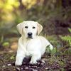 Kindness Animal Clinic