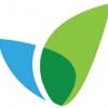 Payday Human Resource Solutions