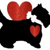 Red Rover Pet Services