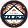 Seahorse Soccer
