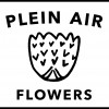 Plein Air Flowers