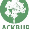 Blackburn Tree Surgery