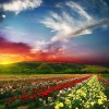 One Light Of Love