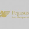 Pegasus Asset Management
