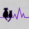 Southwest Veterinary Hospital