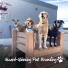 Happy Pets Palace & Playground