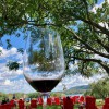 Balderdash Cellars