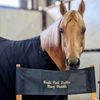 Bridle Path Stables