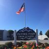 Flying Fish Swimming School