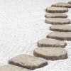 A New Path Counseling